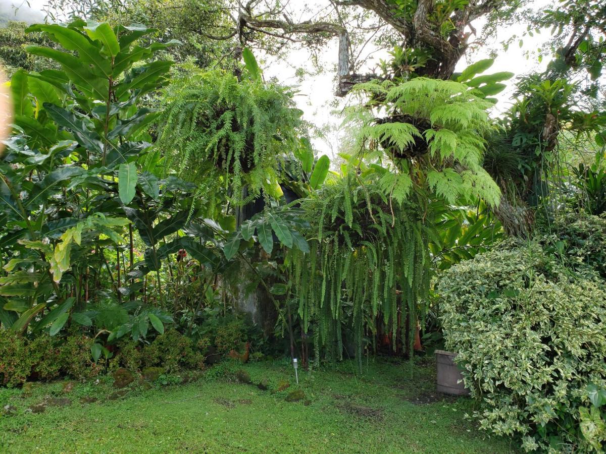 Villa San Antonio - El Valle De Anton Exterior photo